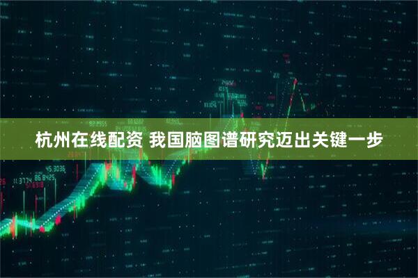 杭州在线配资 我国脑图谱研究迈出关键一步